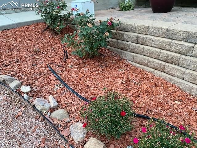 9464 Wolf Pack Ter, Colorado Springs, CO 80920