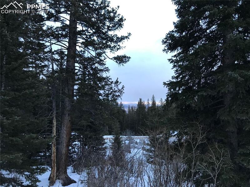 947 Bobcat Ln, Fairplay, CO 80440