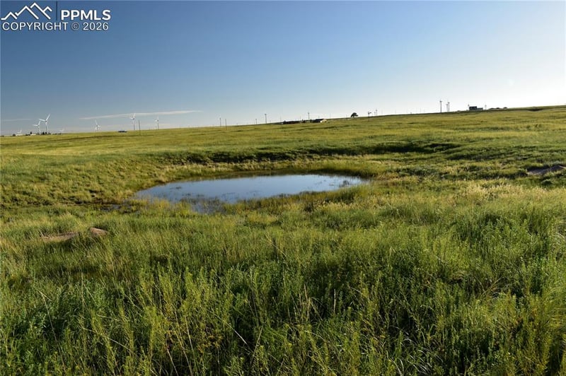 9545 Yoder Rd, Calhan, CO 80808