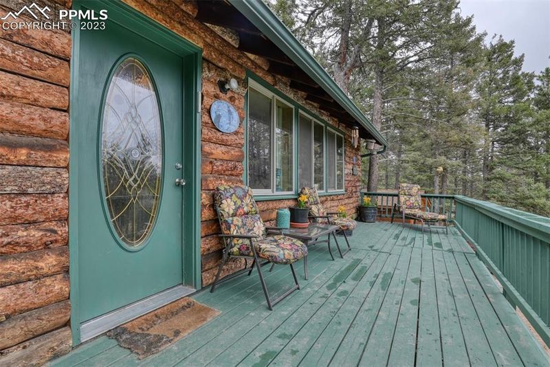 96 Narcissus Rd, Woodland Park, CO 80863