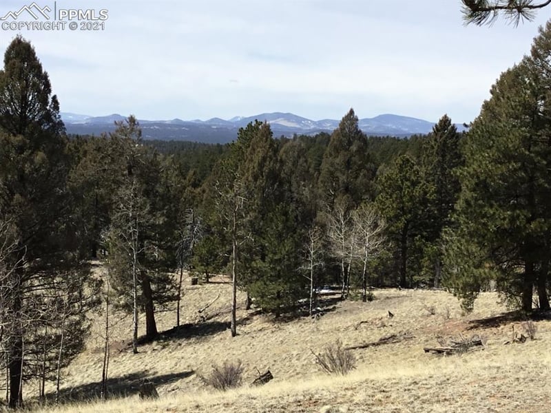9623 W Highway 24 Hw, Divide, CO 80814