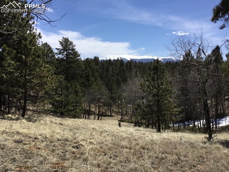 9623 W Highway 24 Hw, Divide, CO 80814