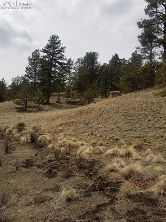 9623 W Highway 24 Hw, Divide, CO 80814