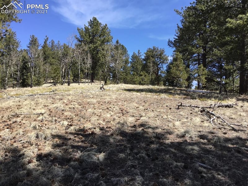 9623 W Highway 24 Hw, Divide, CO 80814