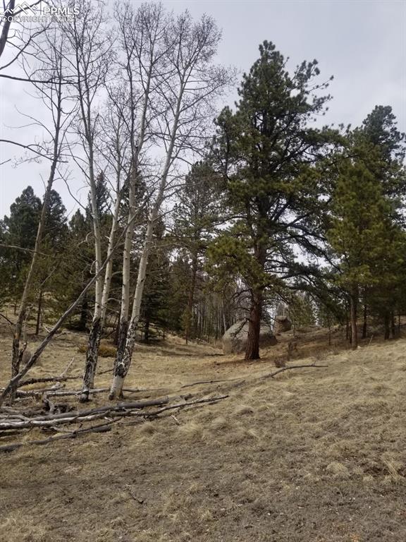 9623 W Highway 24 Hw, Divide, CO 80814