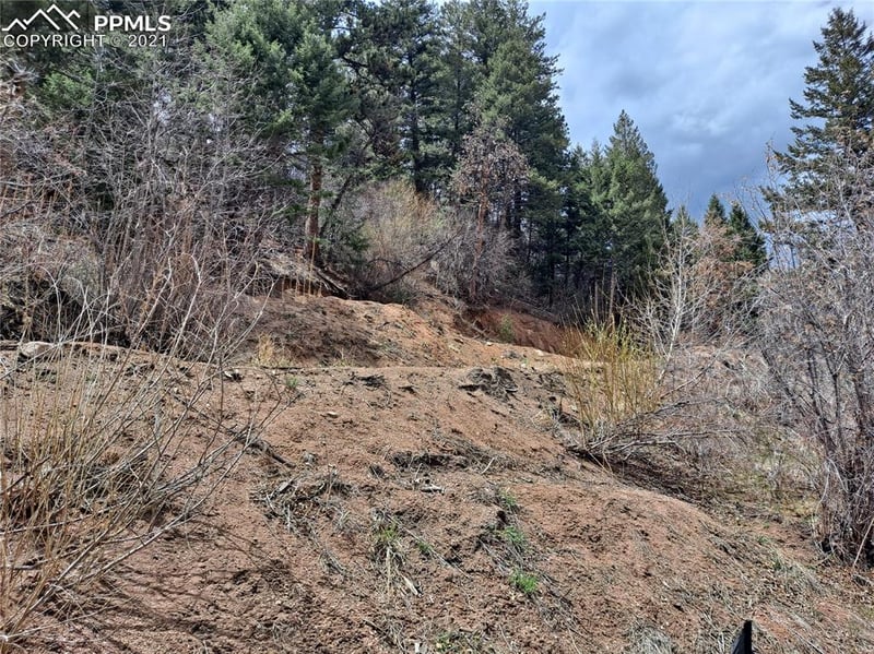9665 Fountain Rd, Cascade, CO 80809