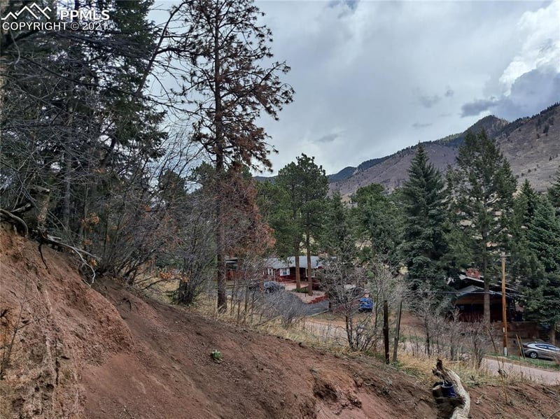9665 Fountain Rd, Cascade, CO 80809