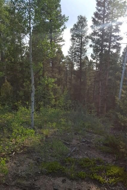97 Daniel Way, Divide, CO 80814