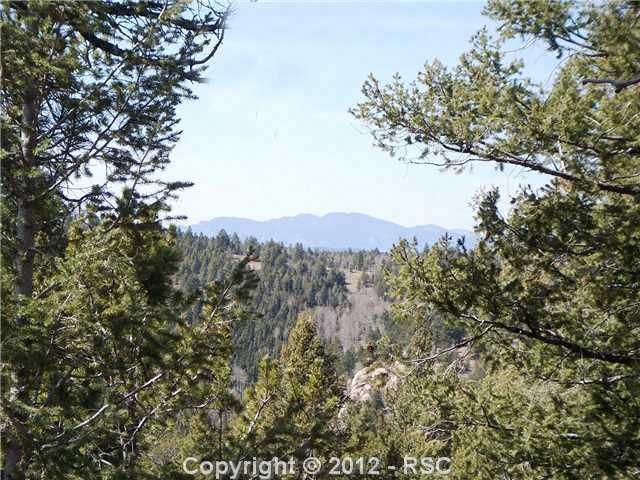 97 Paradiso Rd, Divide, CO 80814