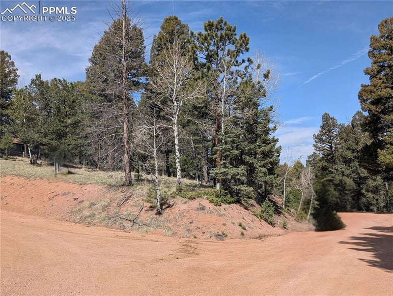 971 Spring Valley Ln, Florissant, CO 80816