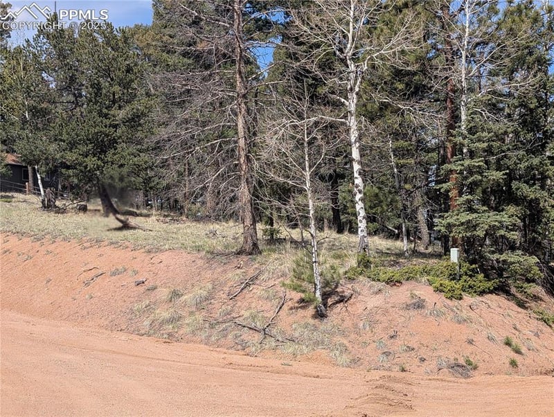 971 Spring Valley Ln, Florissant, CO 80816