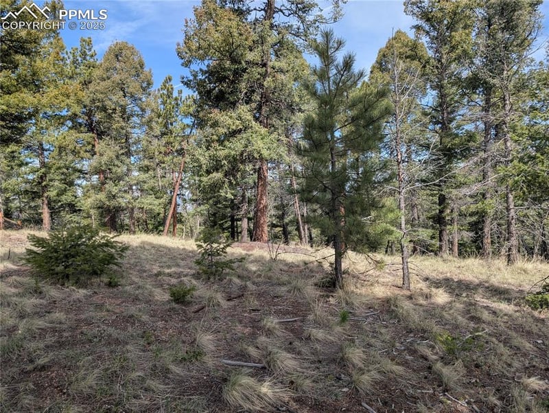 971 Spring Valley Ln, Florissant, CO 80816