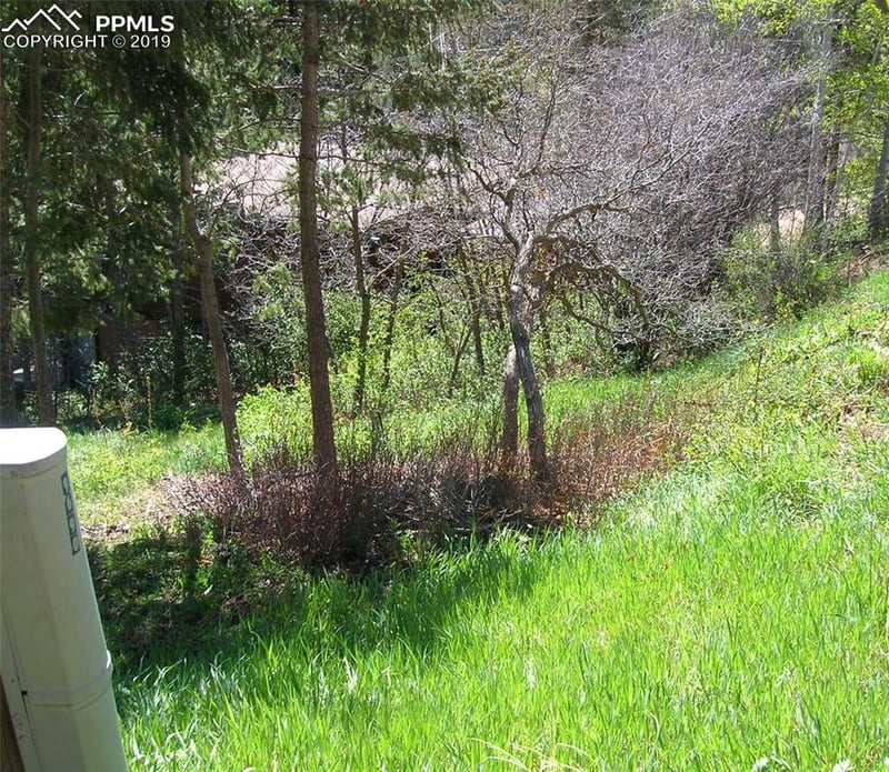 9710 Mohawk Trl, Cascade, CO 80809