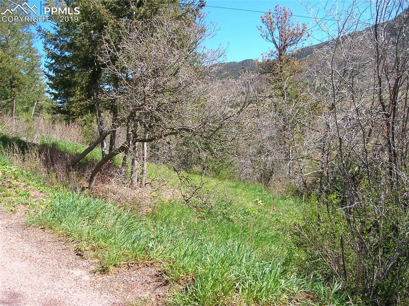9710 Mohawk Trl, Cascade, CO 80809
