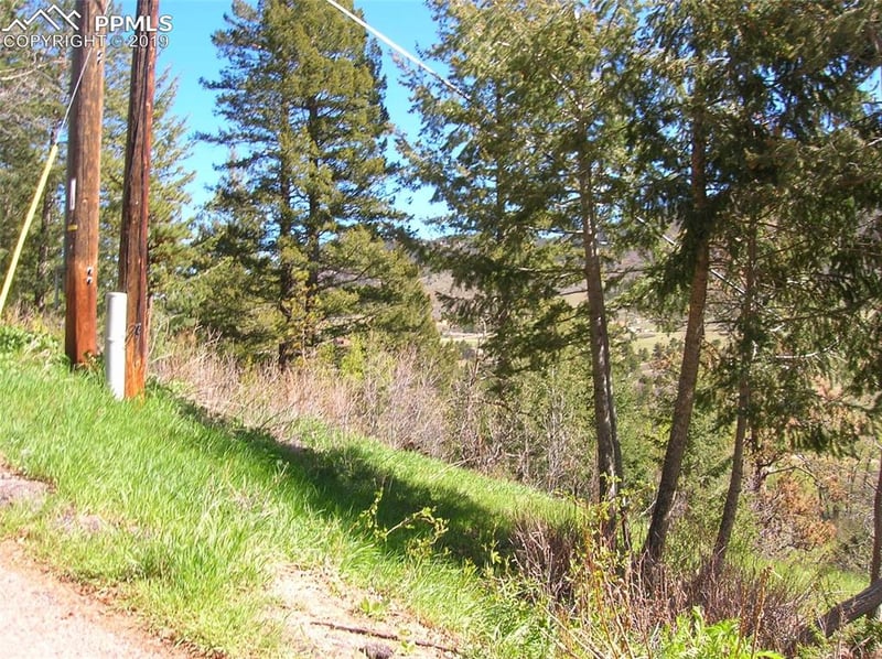 9710 Mohawk Trl, Cascade, CO 80809