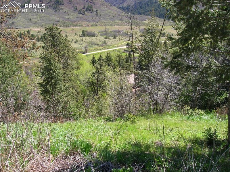 9710 Mohawk Trl, Cascade, CO 80809