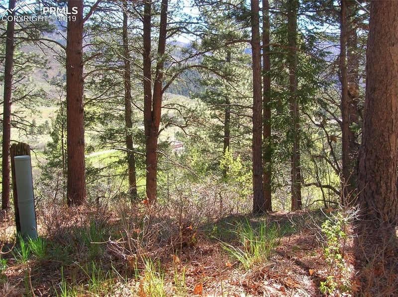 9710 Mohawk Trl, Cascade, CO 80809