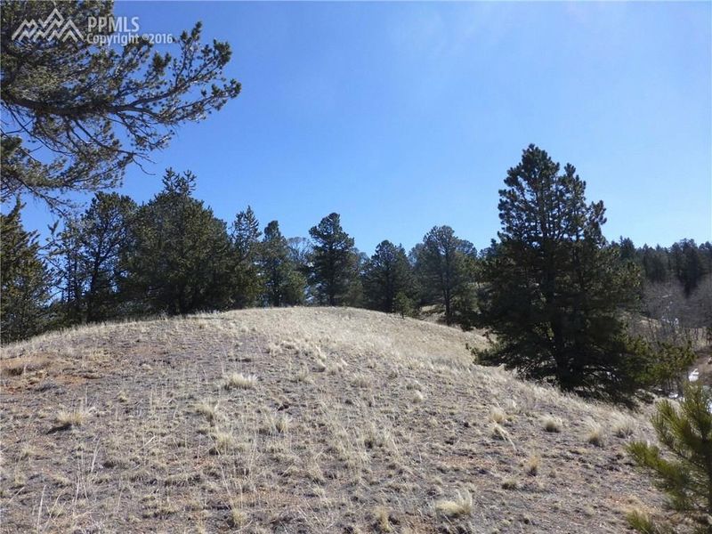 98 Deep Lake Dr, Divide, CO 80814