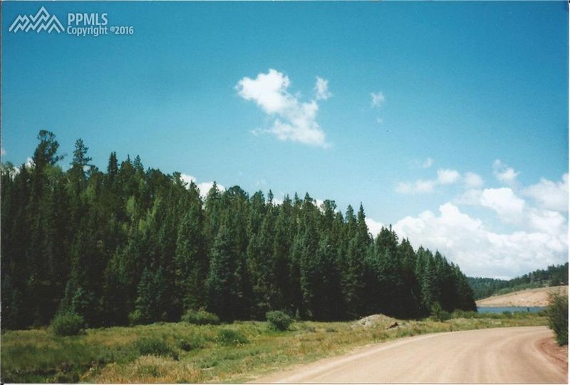 98 Deep Lake Dr, Divide, CO 80814
