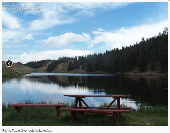 98 Deep Lake Dr, Divide, CO 80814
