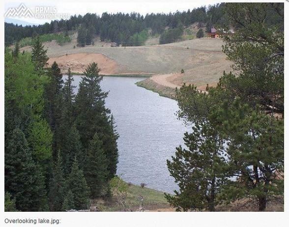 98 Deep Lake Dr, Divide, CO 80814