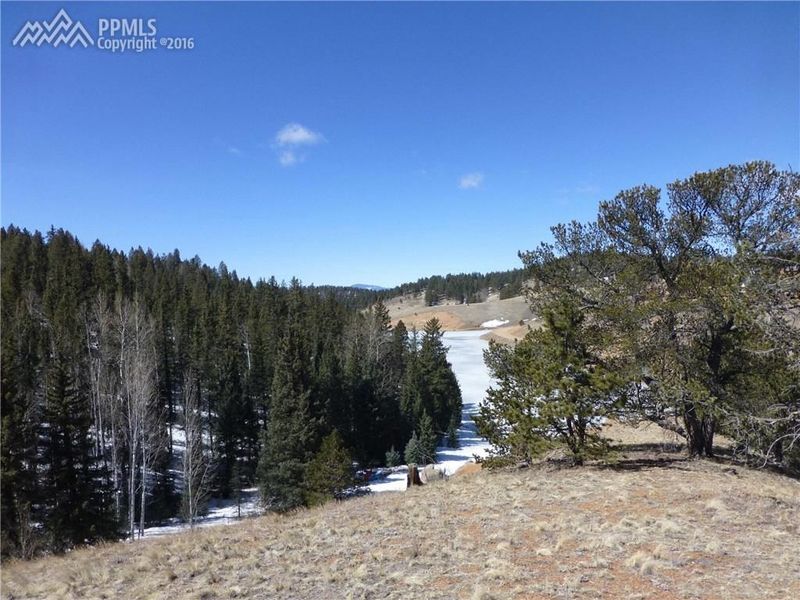 98 Deep Lake Dr, Divide, CO 80814
