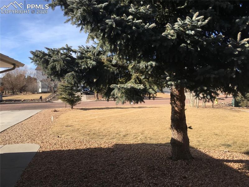 9835 Liberty Grove Dr, Peyton, CO 80831