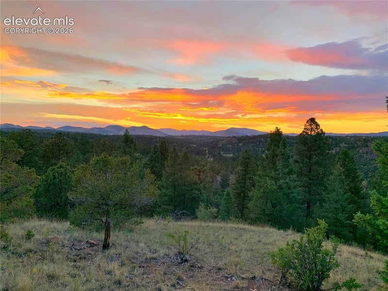 986 Apache Rd, Florissant, CO 80816