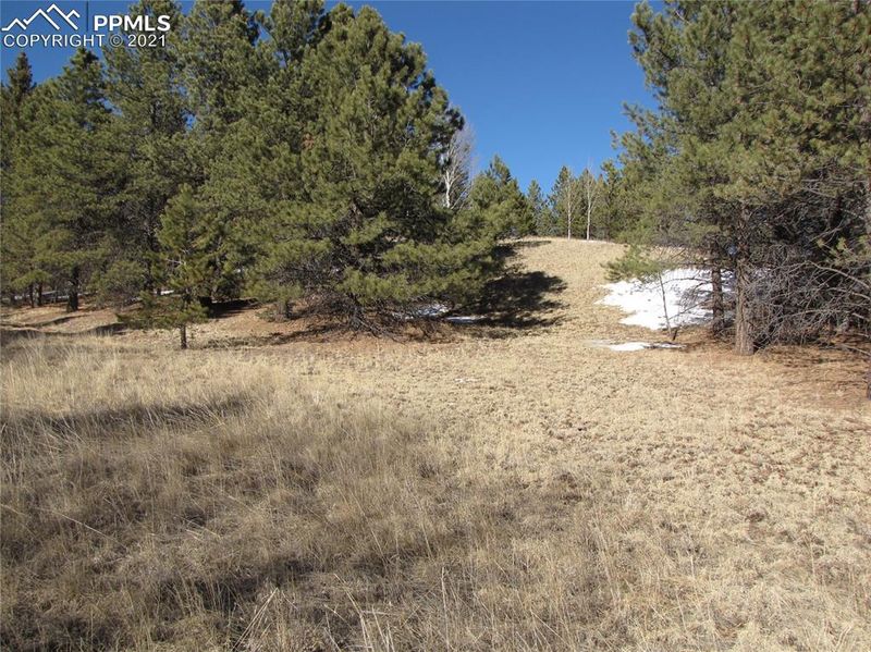 987 W Bison Creek Trl, Divide, CO 80814