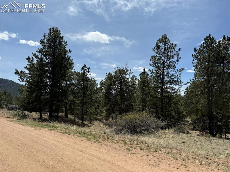 99 Cheyenne Way, Florissant, CO 80816