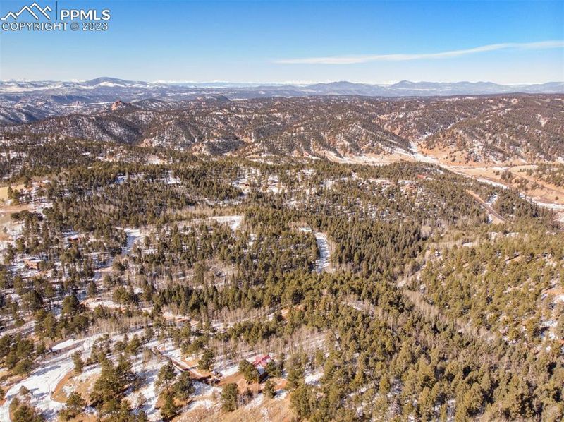 99 Witherite Dr, Divide, CO 80814