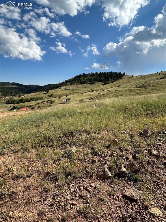 L1-2 Shideler St, Cripple Creek, CO 80813