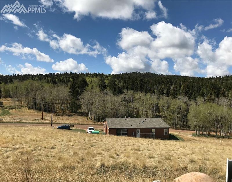 L114 Friar Tuck Dr, Divide, CO 80814