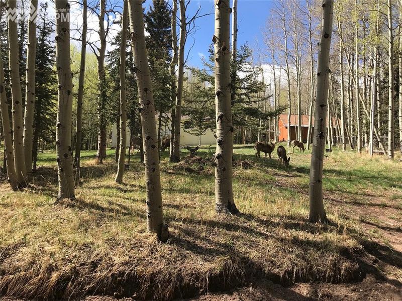 L114 Friar Tuck Dr, Divide, CO 80814