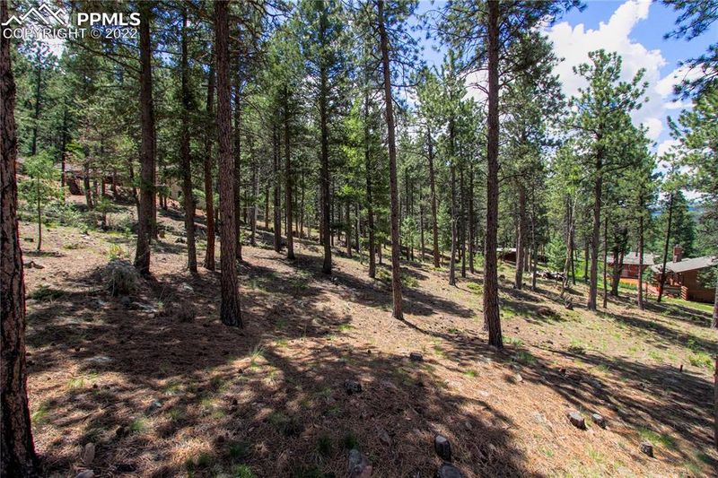 Lot 2 Forest Edge Rd, Woodland Park, CO 80863