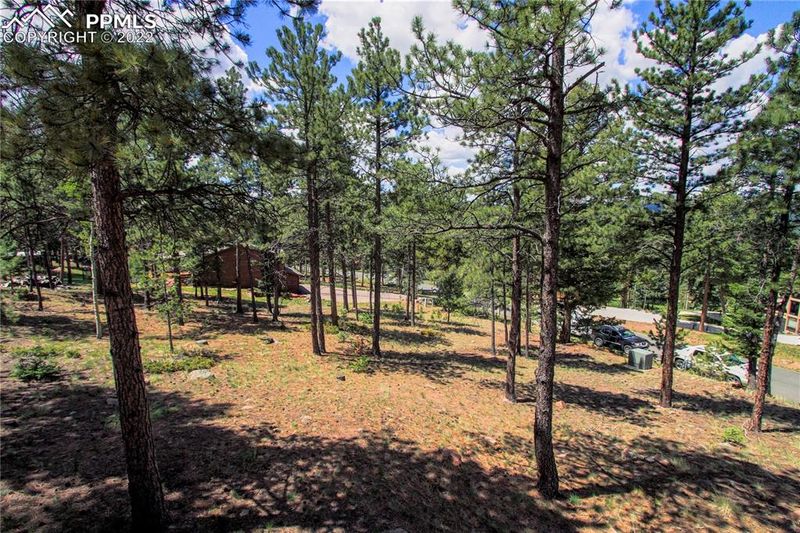 Lot 2 Forest Edge Rd, Woodland Park, CO 80863