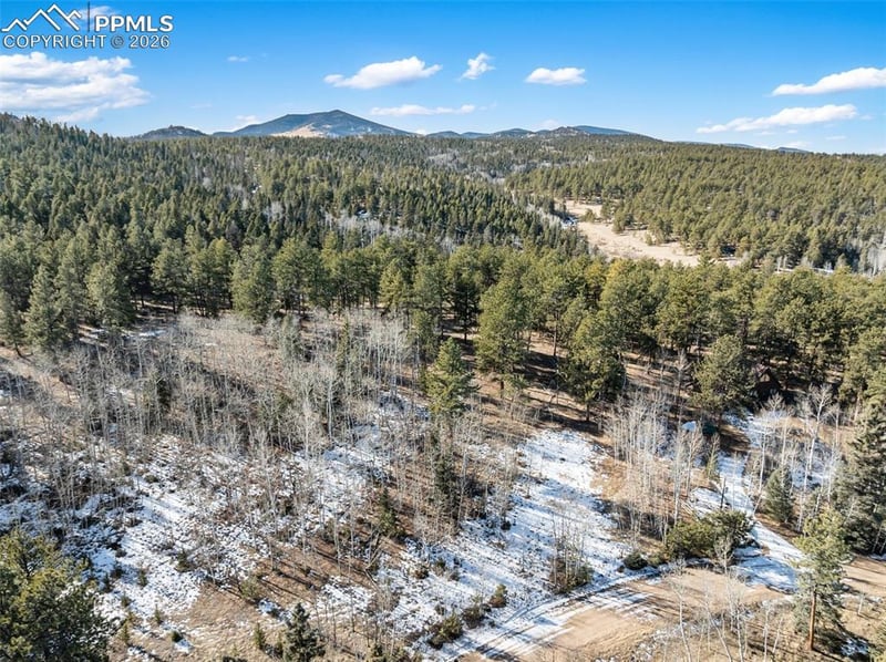 Lot 20 Echo Lake Dr, Lake George, CO 80827