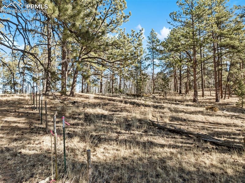 Lot 20 Echo Lake Dr, Lake George, CO 80827