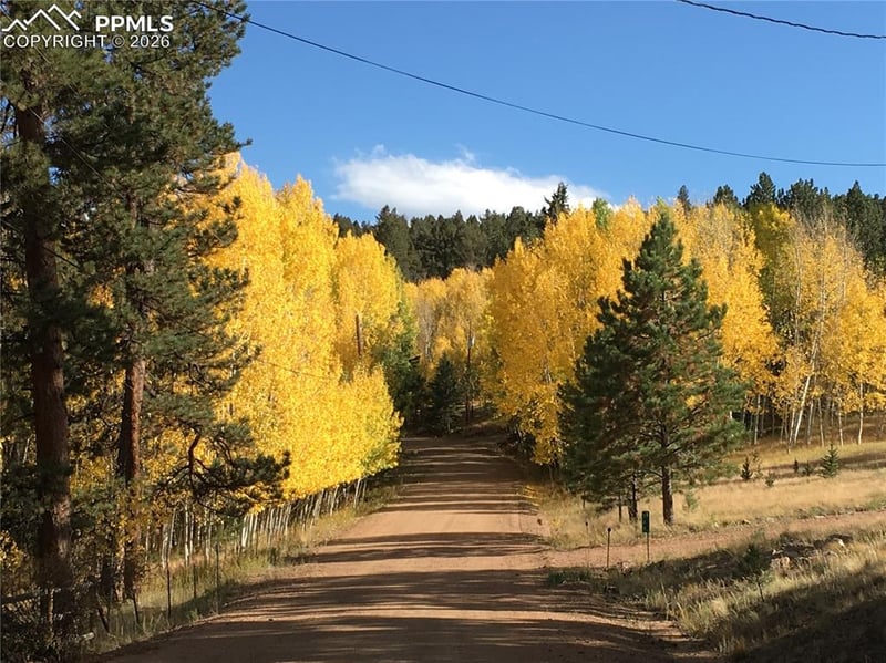 Lot 20 Echo Lake Dr, Lake George, CO 80827