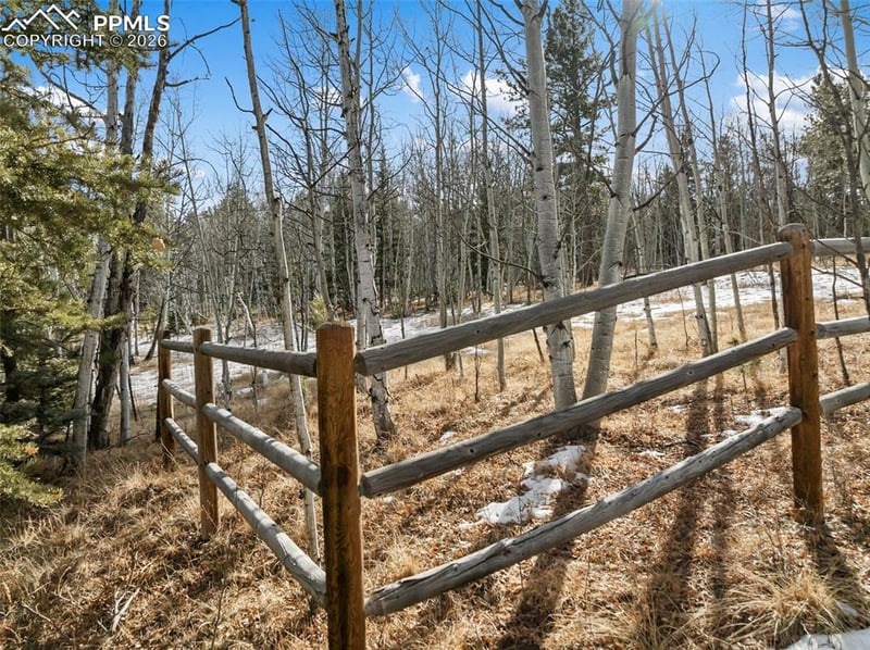 Lot 20 Echo Lake Dr, Lake George, CO 80827