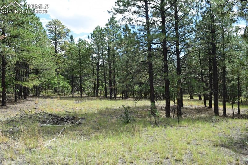 Lot 28 Chipmonk Trl, Weston, CO 81091