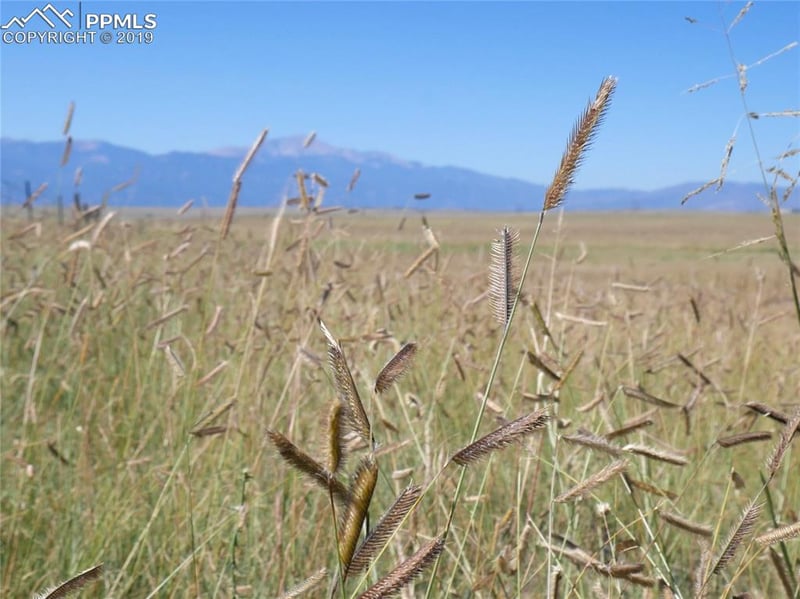 Lot 4 S Franceville Coal Mine Rd, Colorado Springs, CO 80929