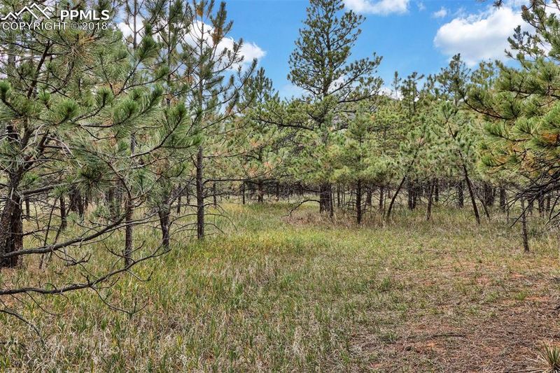 Lot 4 Stone View Rd, Monument, CO 80132