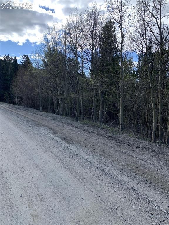 Lot 647 Alice Rd, Idaho Springs, CO 80452