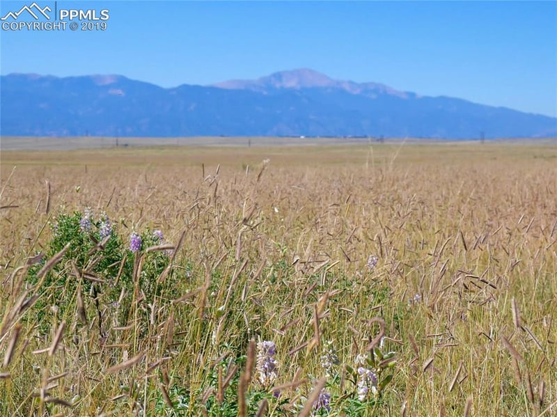 Lot 7 S Franceville Coal Mine Rd, Colorado Springs, CO 80929
