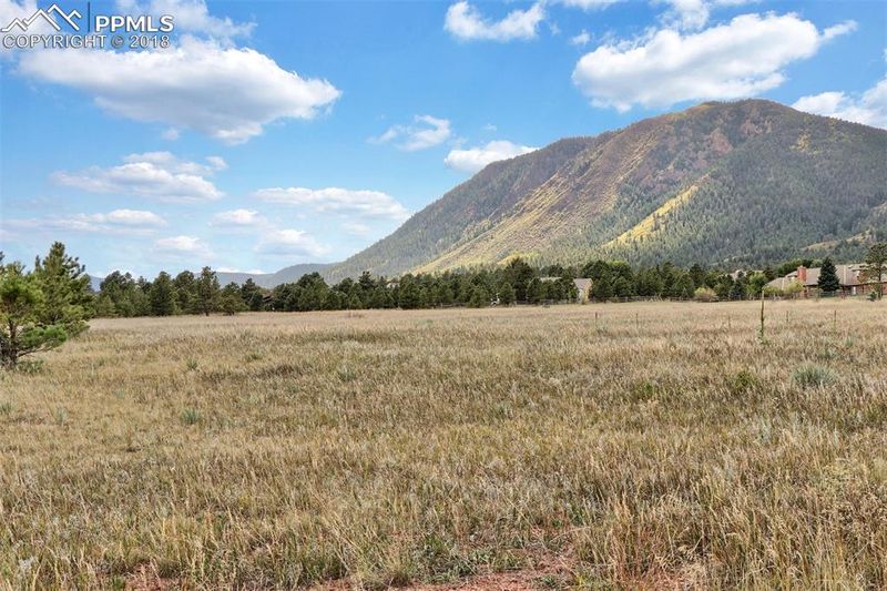 Lot 8 Forest View Rd, Monument, CO 80132