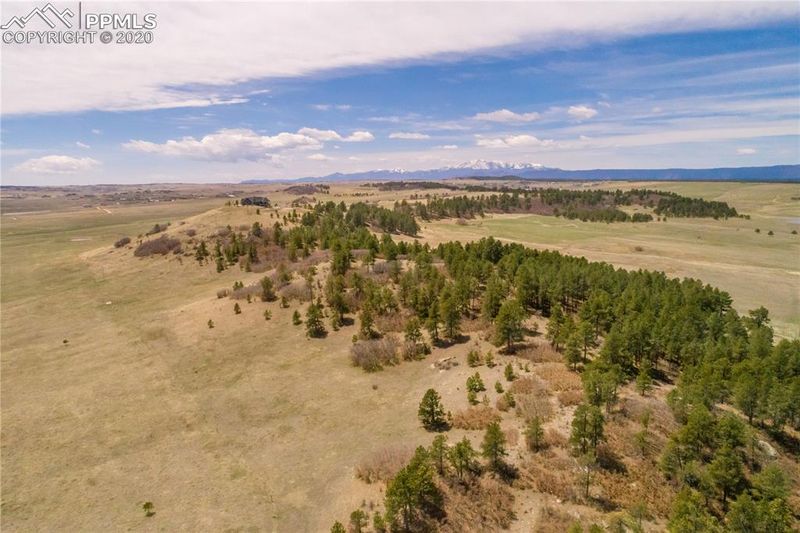 N E Cherry Creek Rd, Larkspur, CO 80118