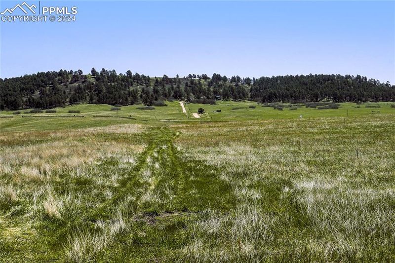 Parcel 4 Lorraine Rd, Larkspur, CO 80118