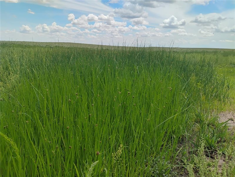 Parcel 7 Peyton Hw, Colorado Springs, CO 80928