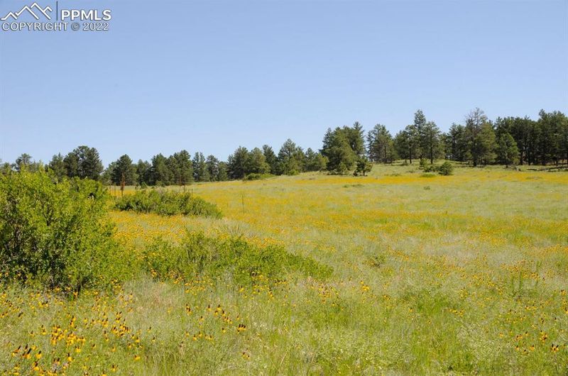 Parcel B Amethyst Rd, Deer Trail, CO 80105